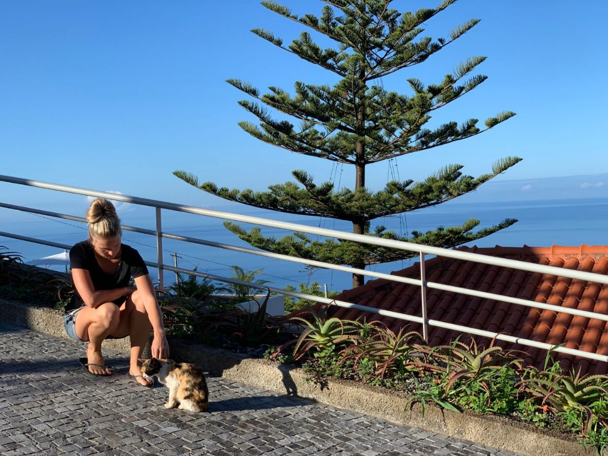 Chica die vanaf dag 1 al bij ons is en tijdens de bouw gebleven gelukkig.jpg